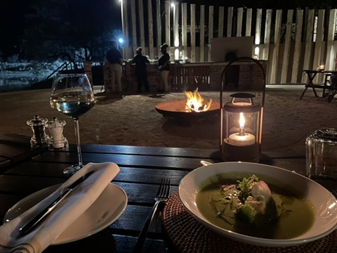 Timbavati Private Nature Reserve, South Africa